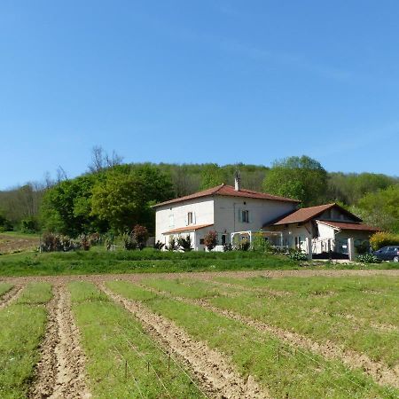 Chambre D'Hotes - Le Safran Du Val D'Or Anneyron 外观 照片