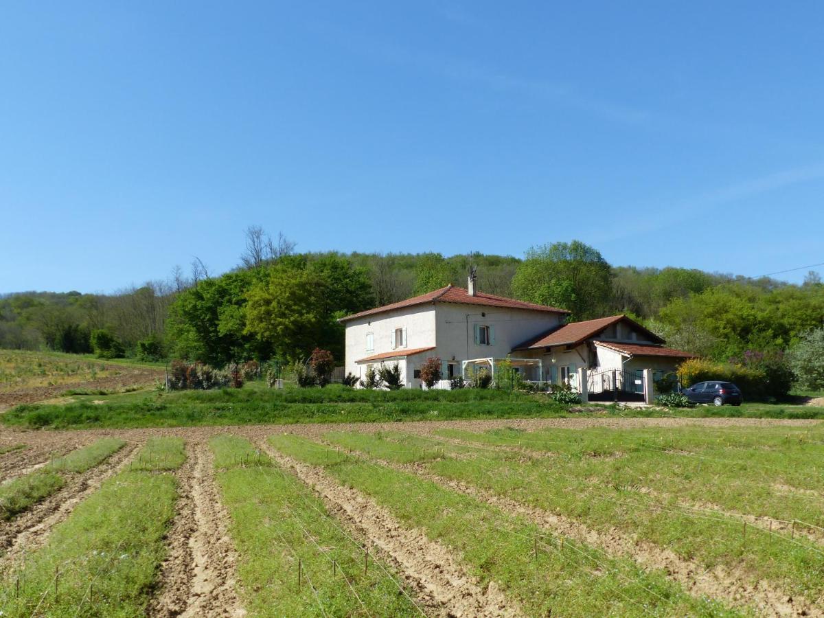 Chambre D'Hotes - Le Safran Du Val D'Or Anneyron 外观 照片